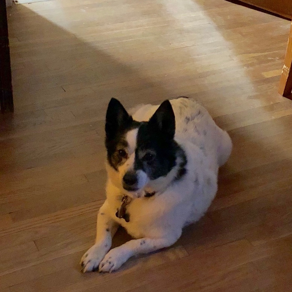 Meet your Posher, Rita